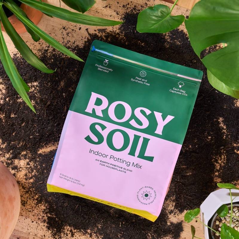 Rosy - Indoor Plant Potting Soil