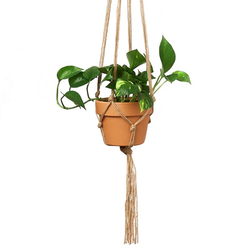 Macrame Hanger - Designed for 5 - 7 inch Planters - Image 2