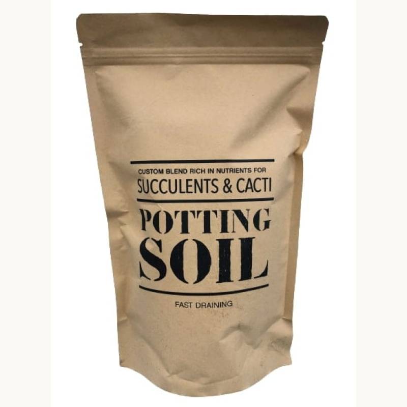 Generic Succulent and Cacti Potting Soil - 1 lb Bag