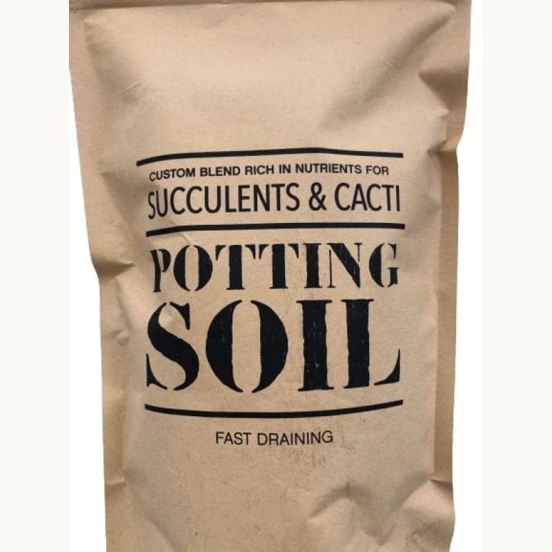 Generic Succulent and Cacti Potting Soil - 1 lb Bag - Image 3