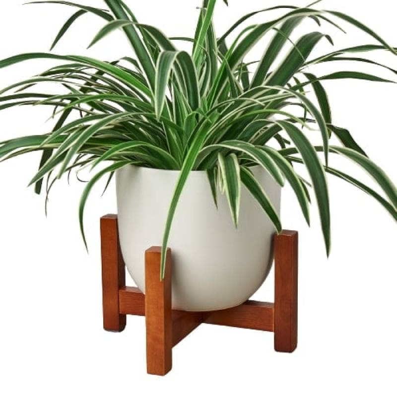 Ceramic Contour Pot with Wood Stand - 7 Inch - Image 2