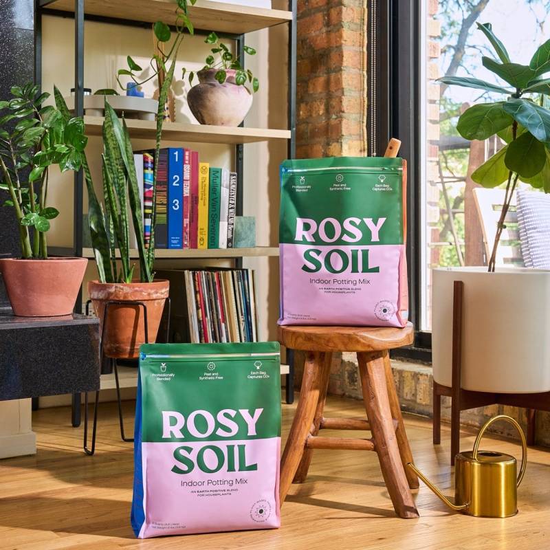 Rosy - Indoor Plant Potting Soil - Image 4