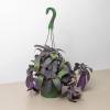 Tradescantia Purple Heart